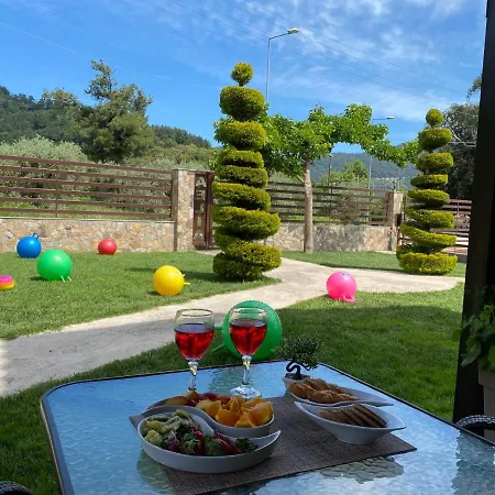 Aelia * סקאלה פוטאמיאס