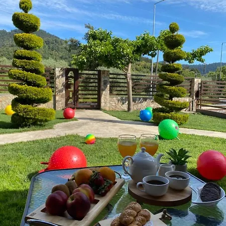 Hotel Aelia Skala Potamia (Thasos)