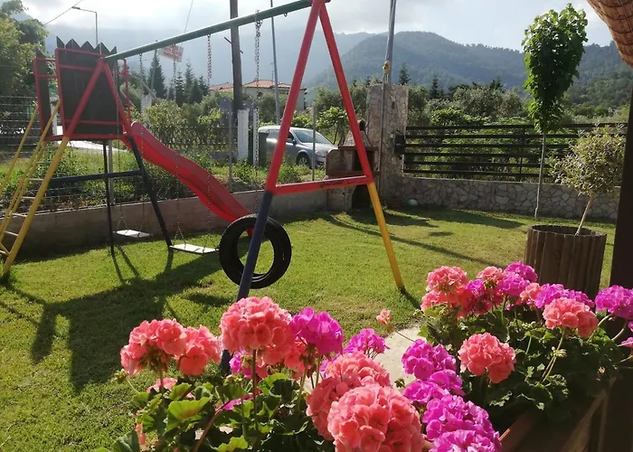 Aelia Hotel Skala Potamia (Thasos)